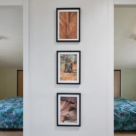 La Grange Montricoux